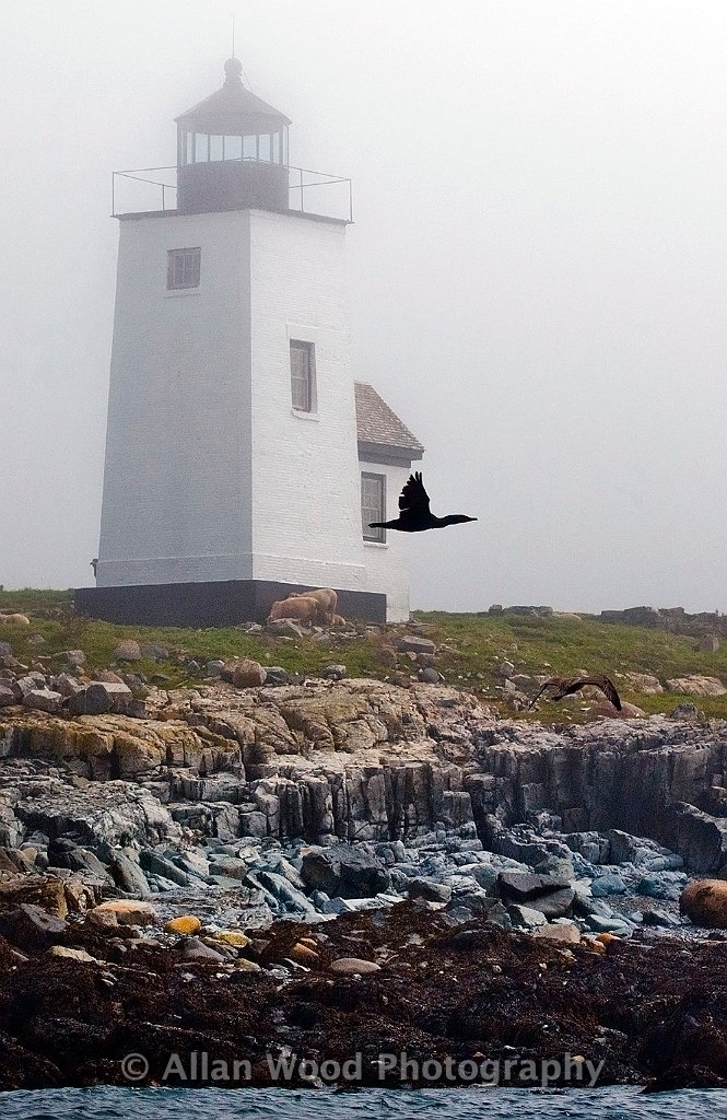 Lighthouses in Northern (Down East) Maine